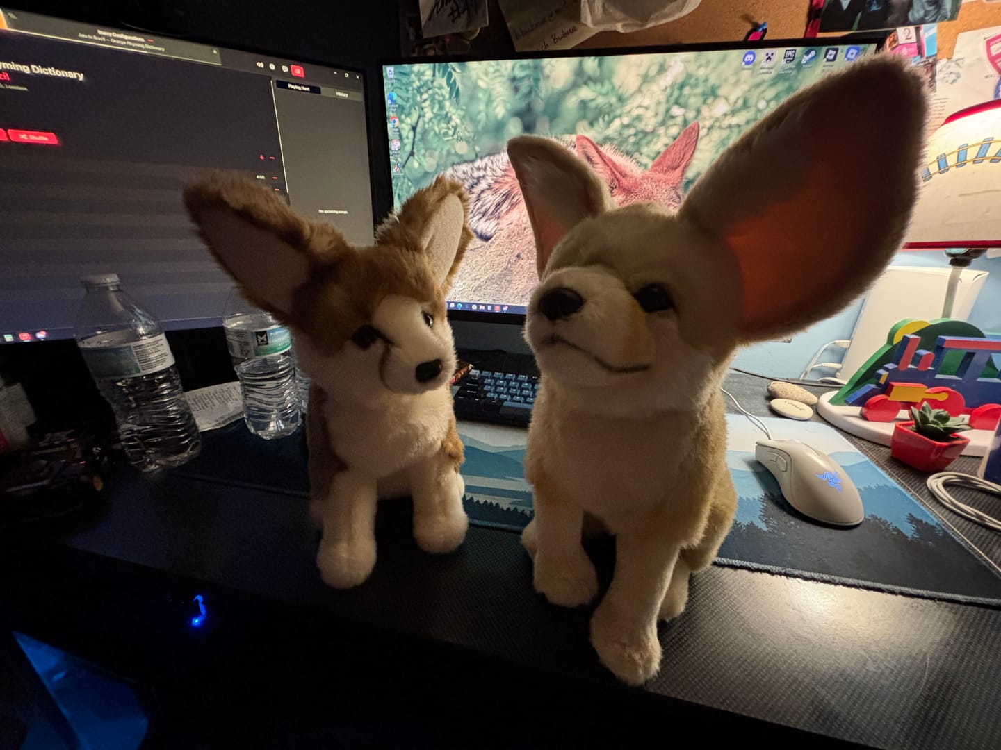 Customer photo review of Fennec Fox Plush Toy – Realistic, Adorable, and Perfectly Huggable