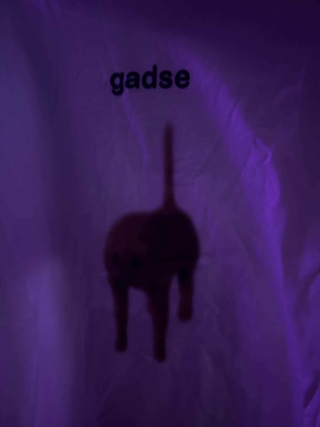 Customer photo review of gadse T-Shirt