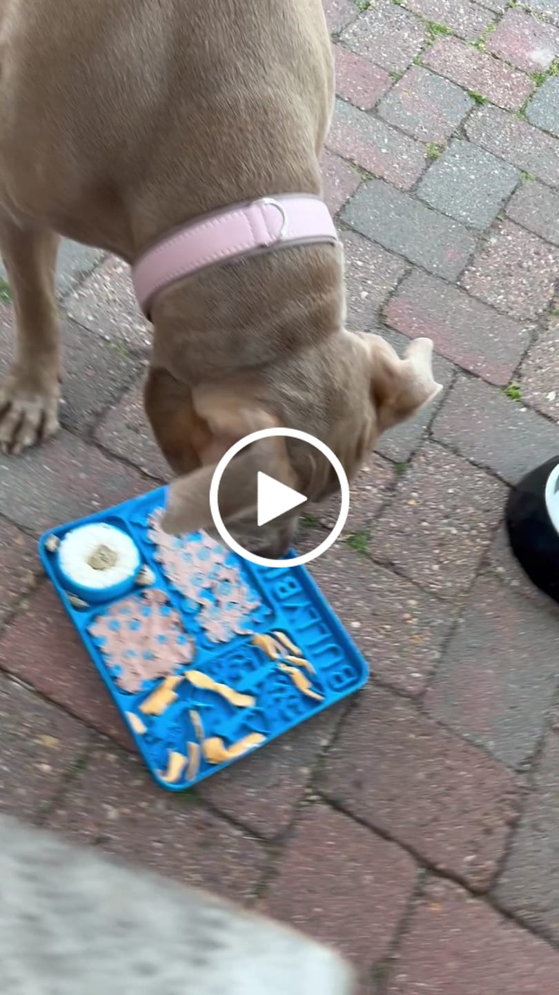Customer video review of Dog Licking Munch Mats®