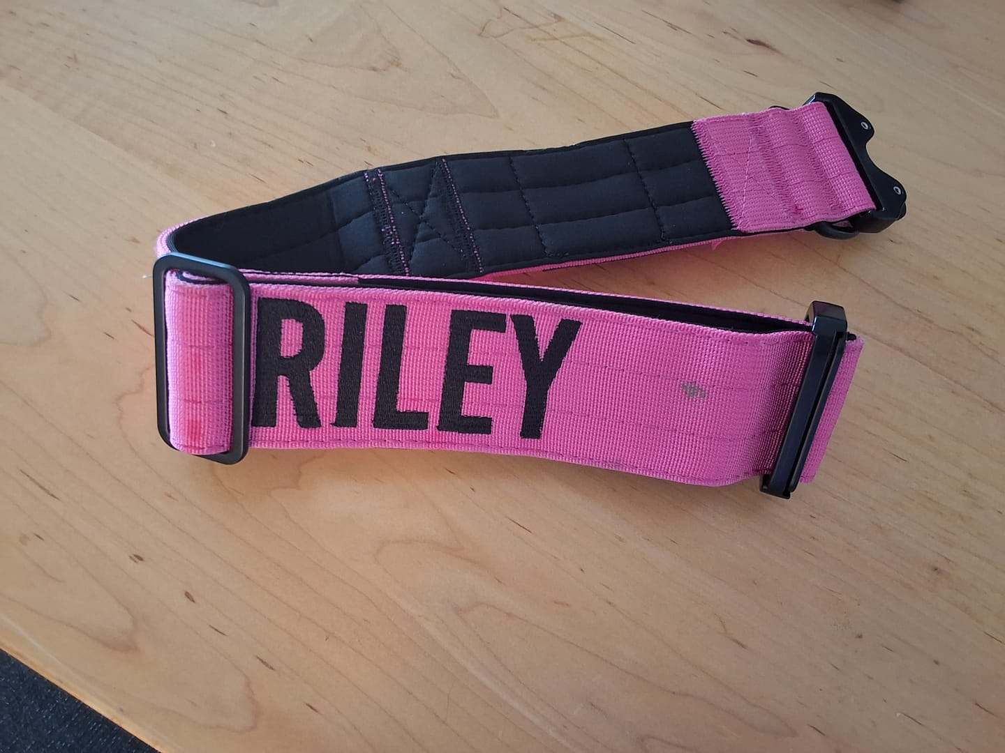 Customer photo review of Bully Proof Collar