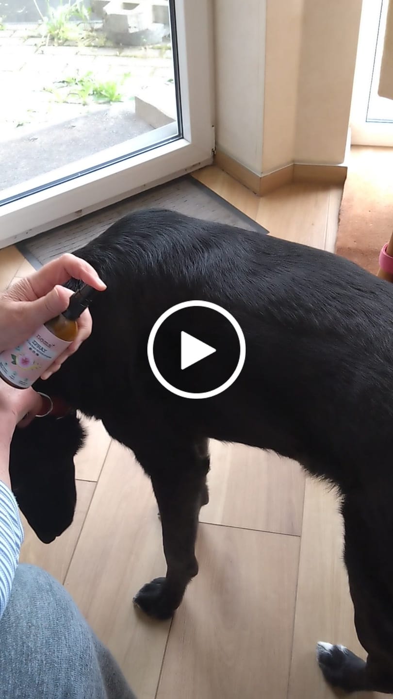 Customer video review of Dentalspray für Hunde & Katzen
