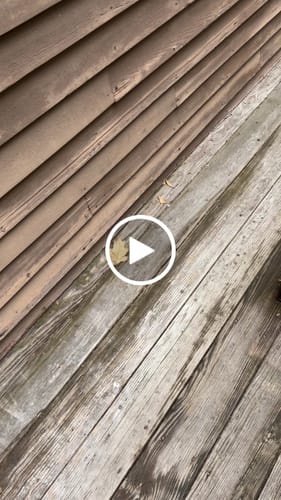 Customer video review of 1 Year Warranty