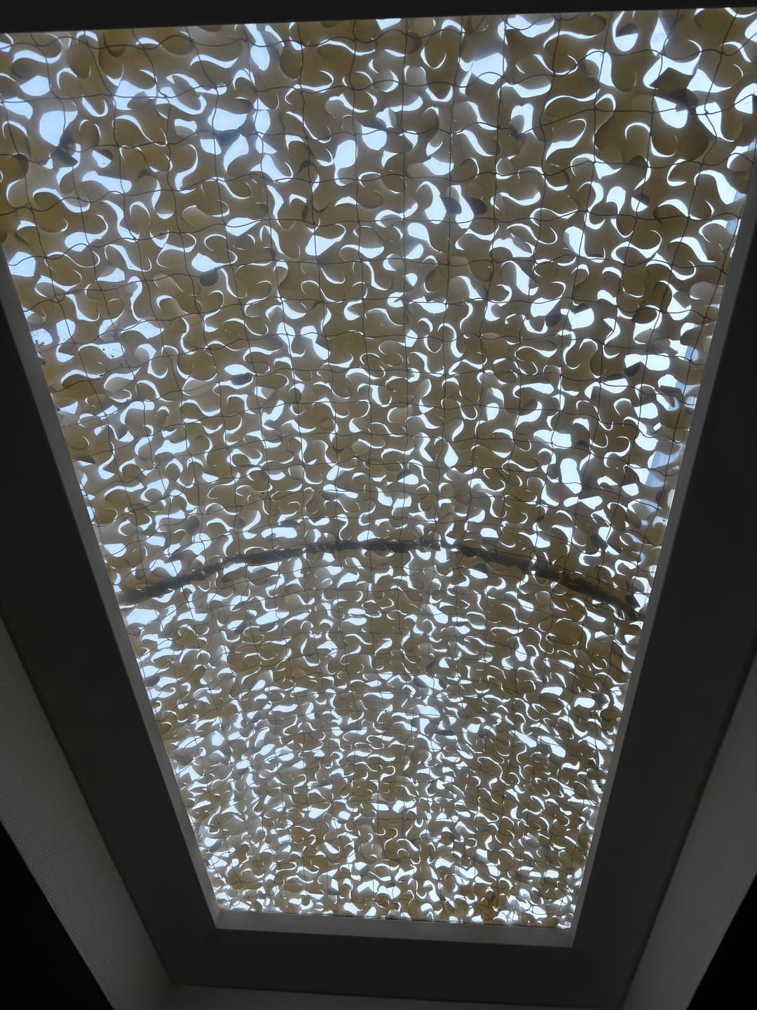 Customer photo review of Beige camouflagenet