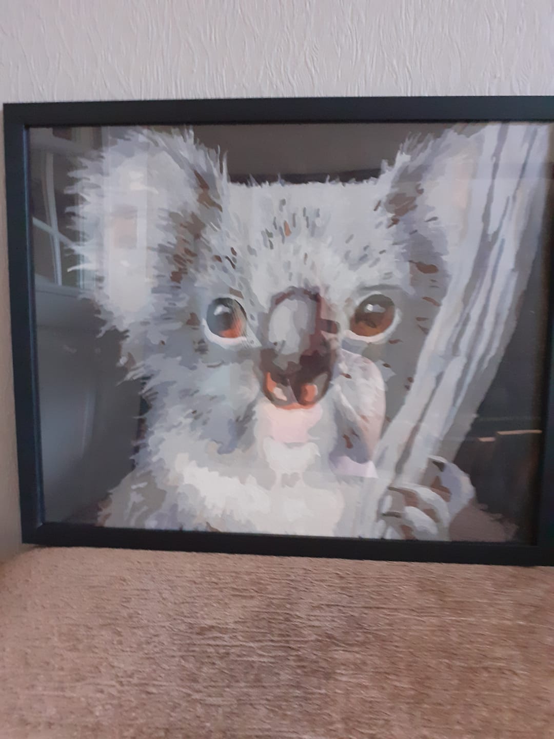 Customer photo review of Koala