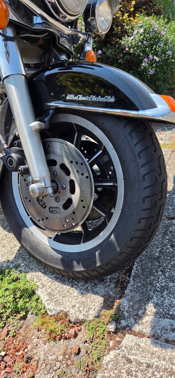 Customer photo review of Dunlop D404 Tires