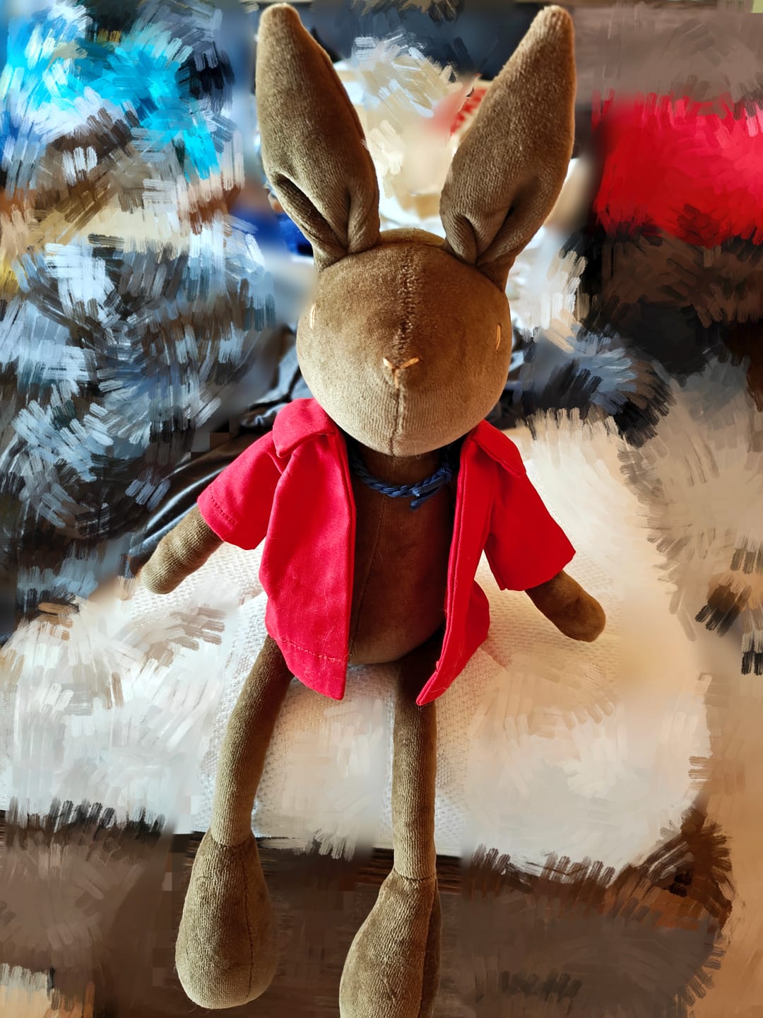 Customer photo review of DANIEL LE LAPIN - M/L
