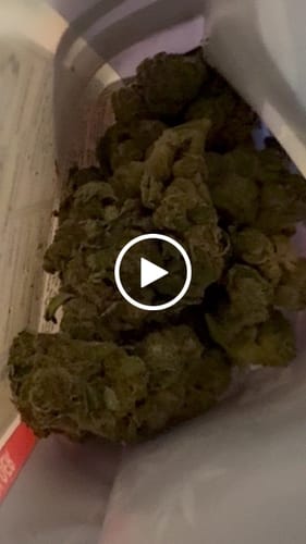 Customer video review of Indoor Micros