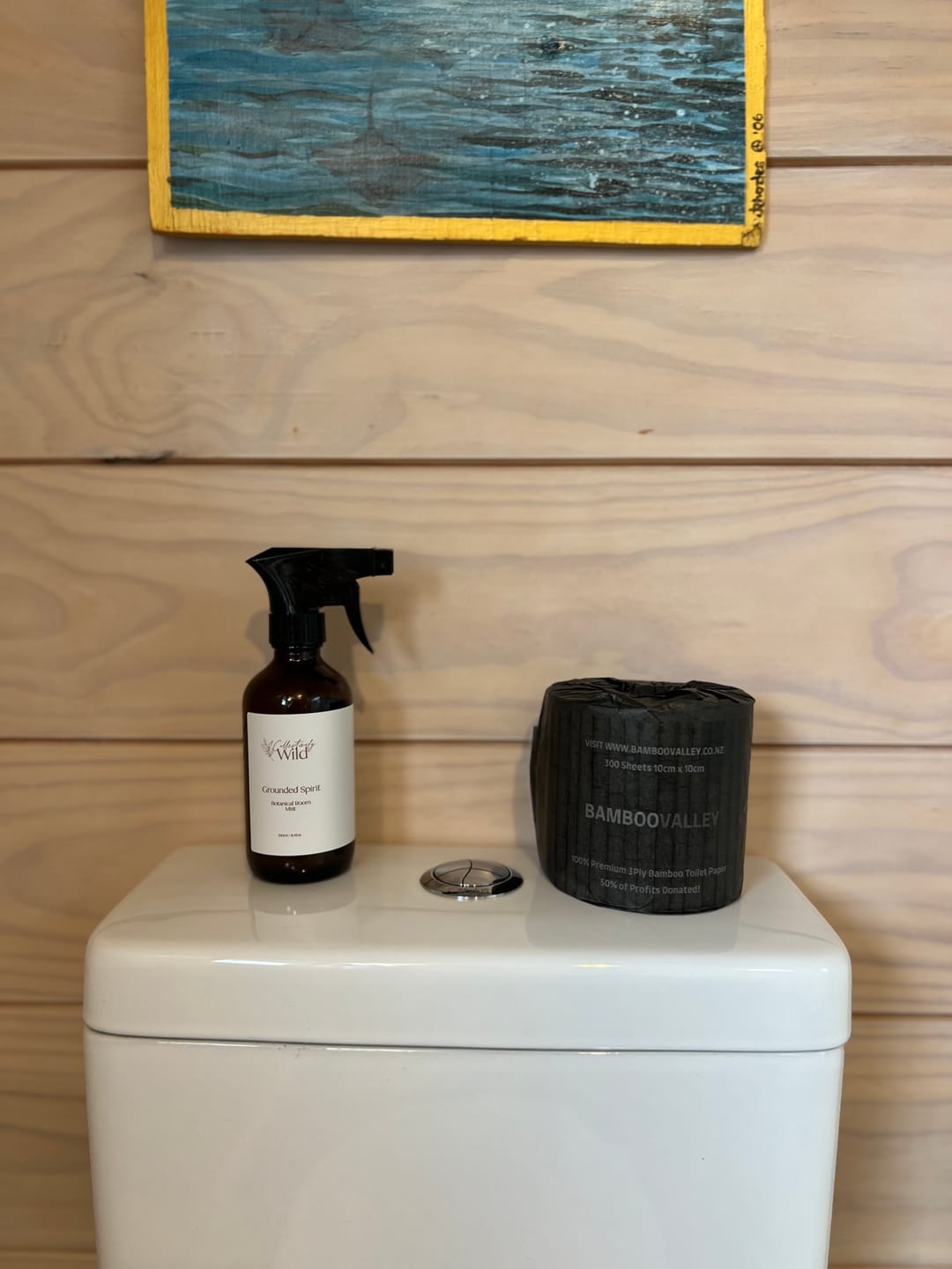 Customer photo review of Donate to Cleaning up the Ocean! 24 Pack