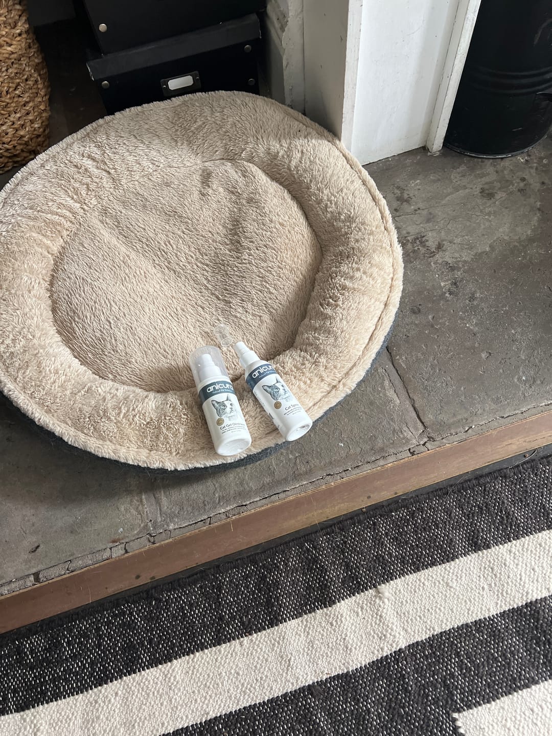 Customer photo review of Cat Duo Pack