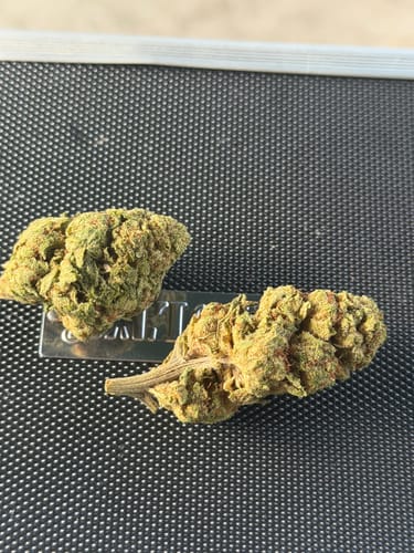 Customer photo review of Bulk THCA Flower Pounds