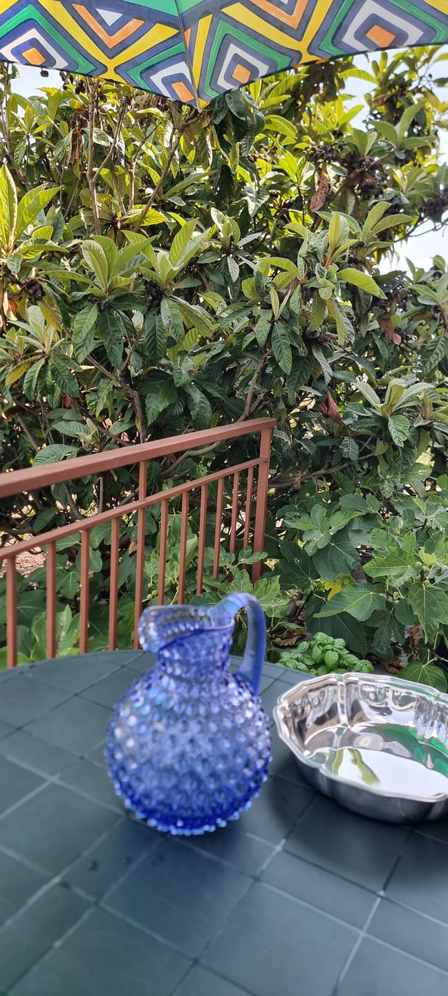 Customer photo review of Lavender Hobnail Jug