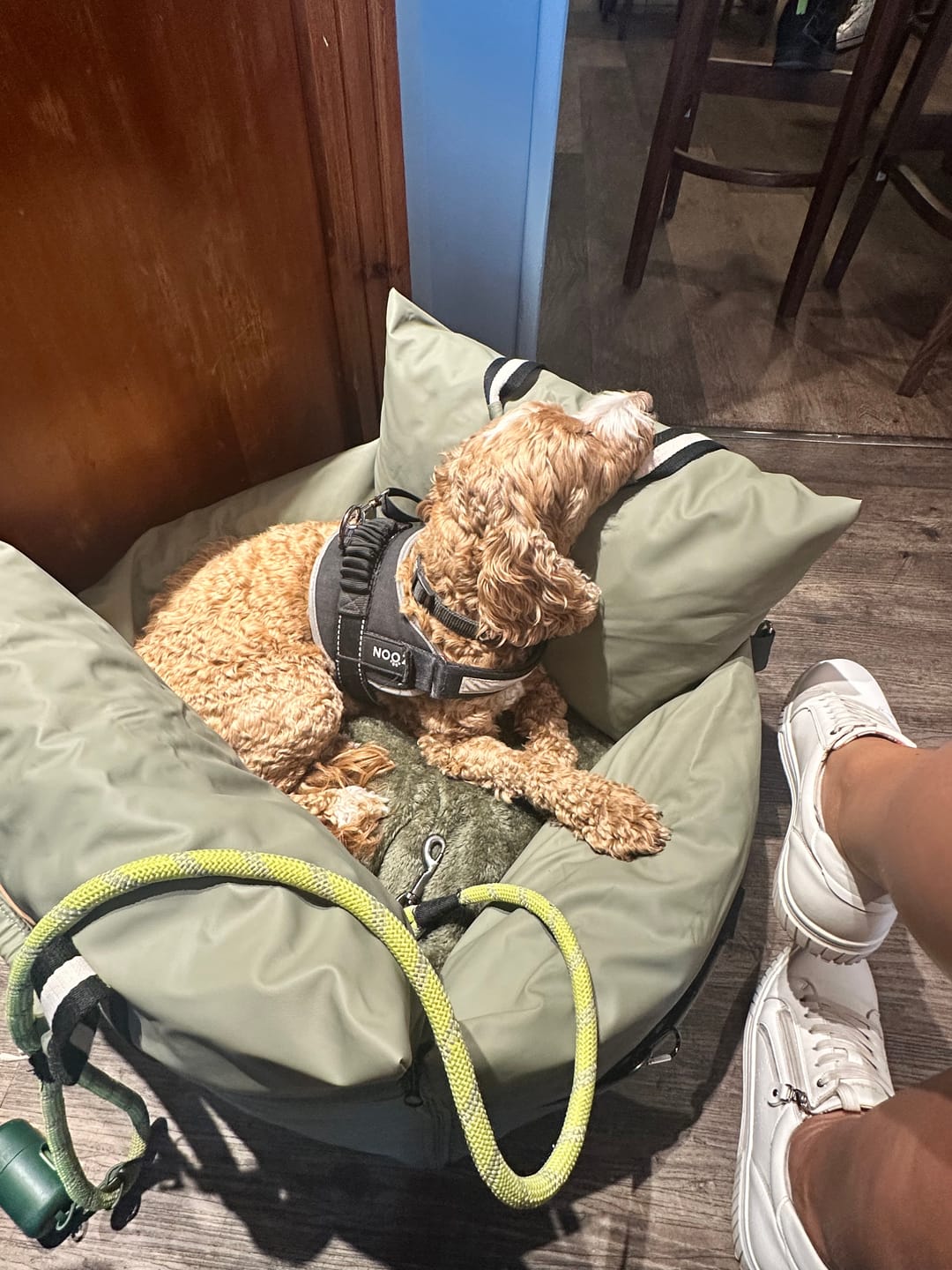 Customer photo review of The Dog Dock V2 New & Improved with ISO Fix