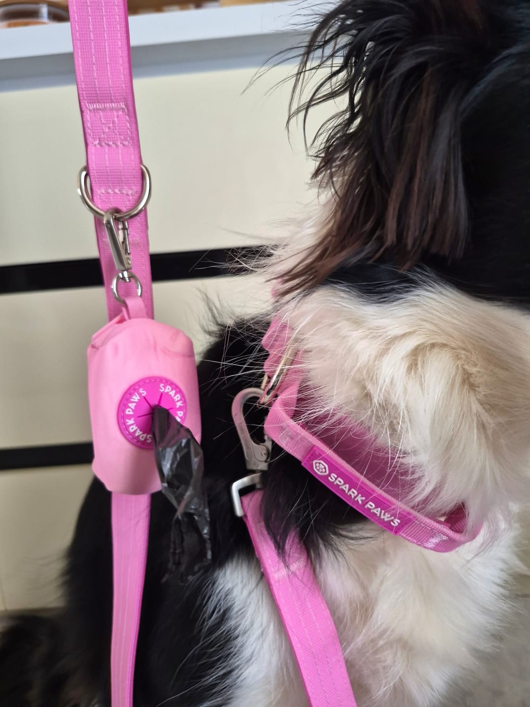 Customer photo review of Leash and Poop Bag Holder Set - Pink