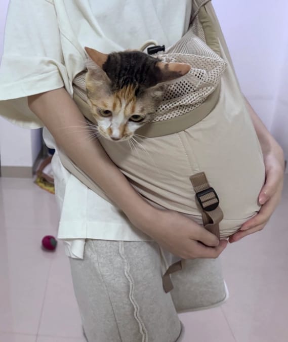 Customer photo review of Ergonomic Portable Hands-Free Pet Sling Carrier
