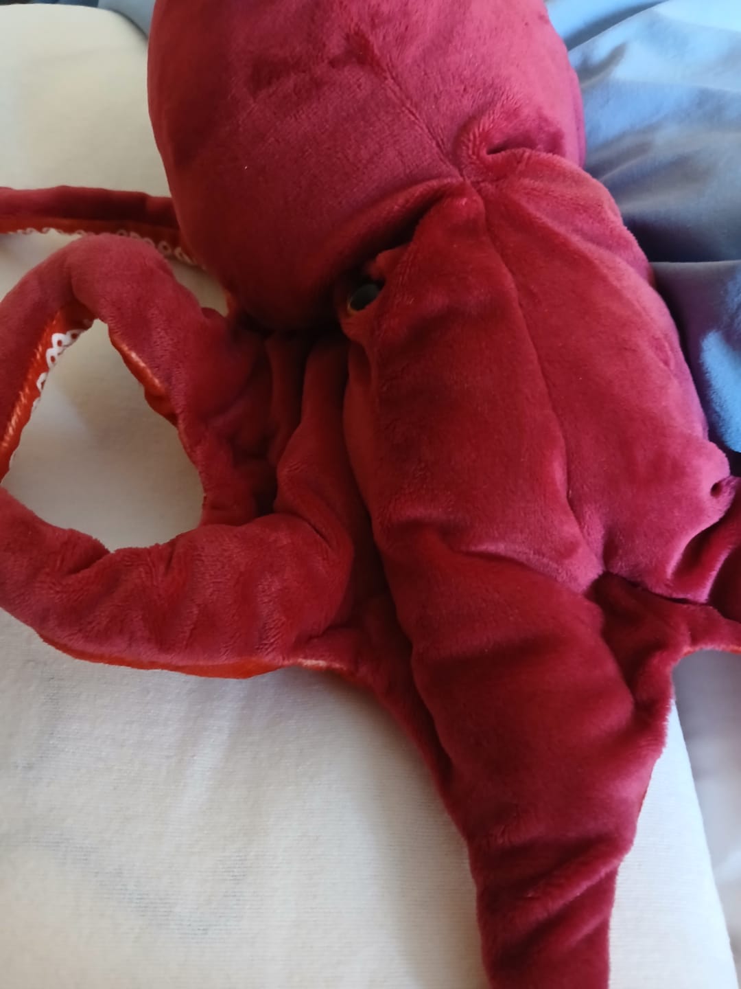 Customer photo review of Red Octopus Soft Stuffed Plush Toy