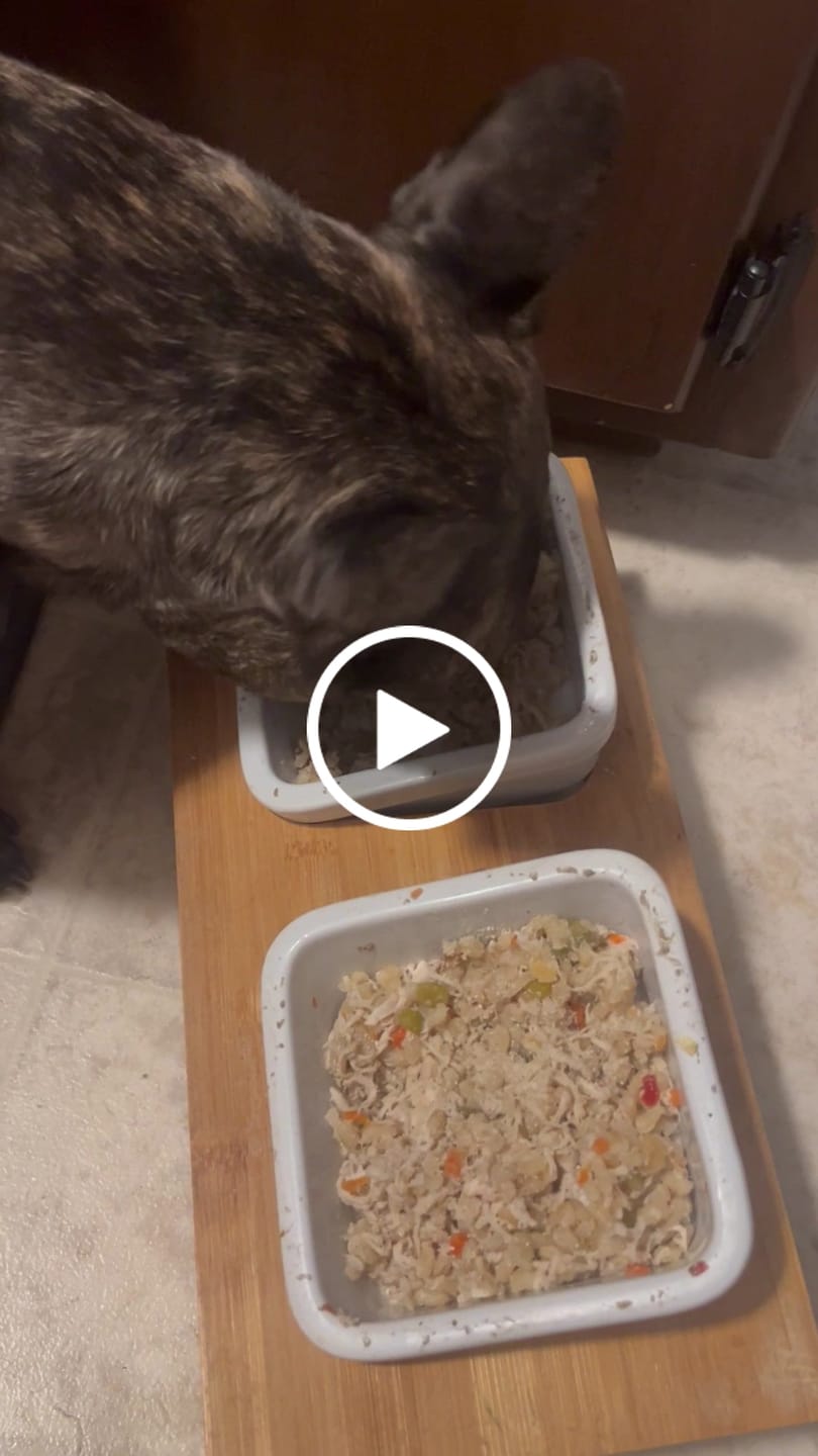 Customer video review of Whole Grain Original Base Mix