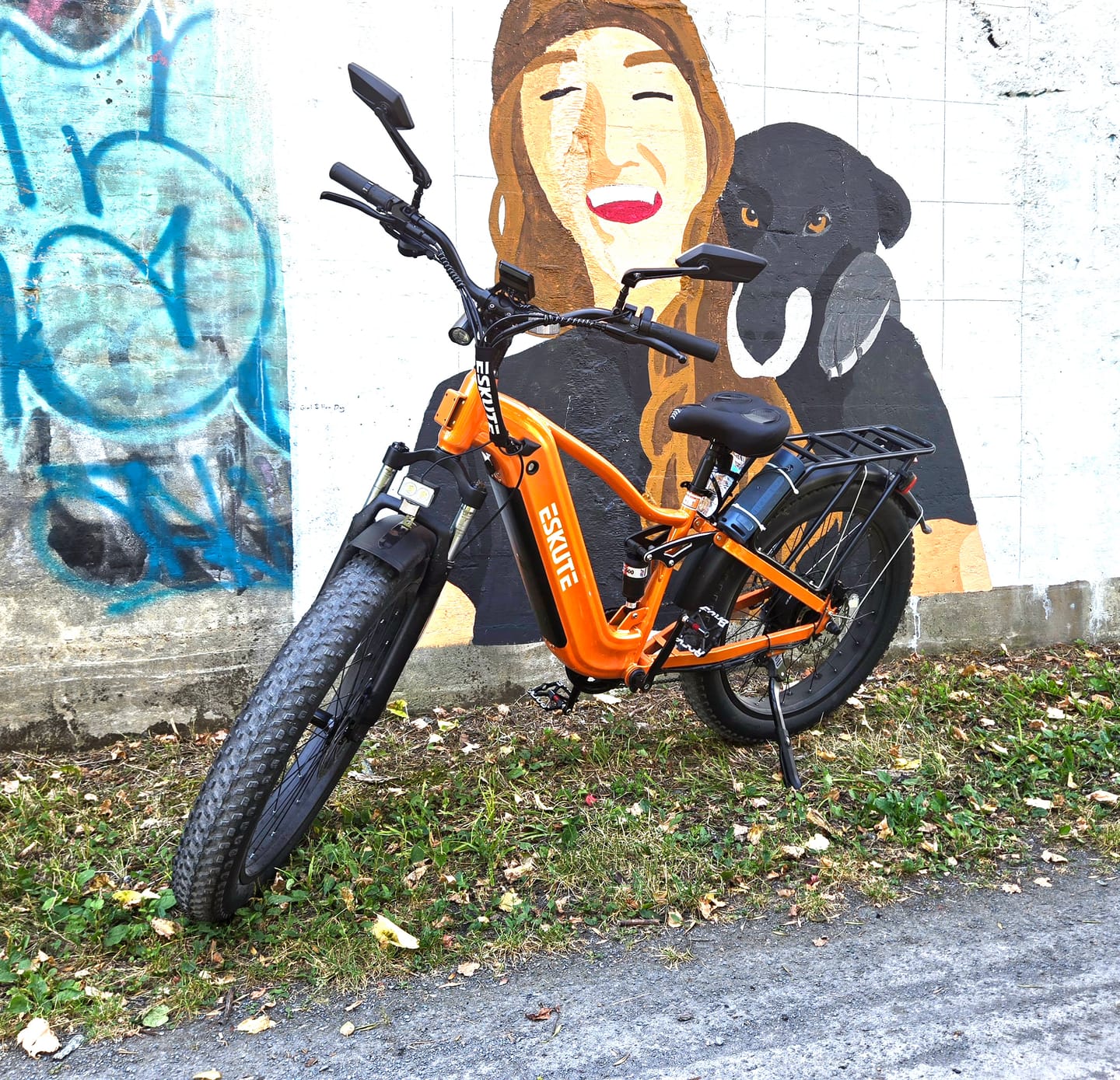 Customer photo review of Eskute® C300R SO All-Terrain Electric Bike