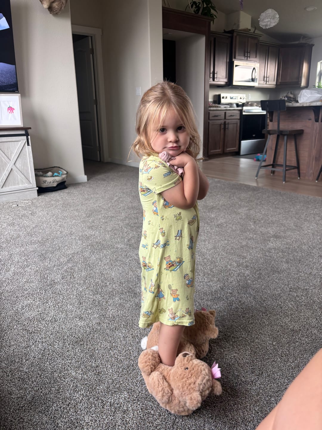 Customer photo review of Teddy Bear Picnic Bamboo Girls' Short Sleeve Dress