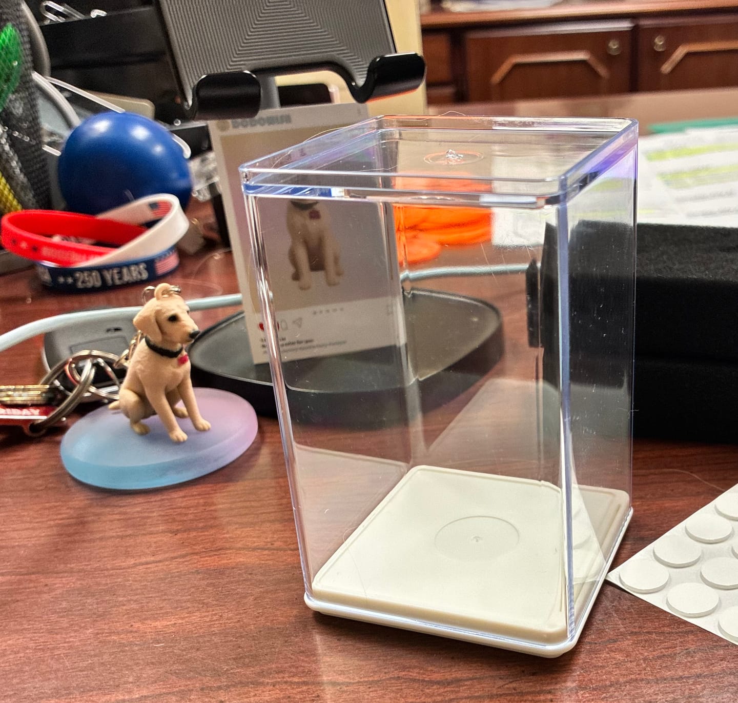 Customer photo review of Dust-Proof Acrylic Display Case