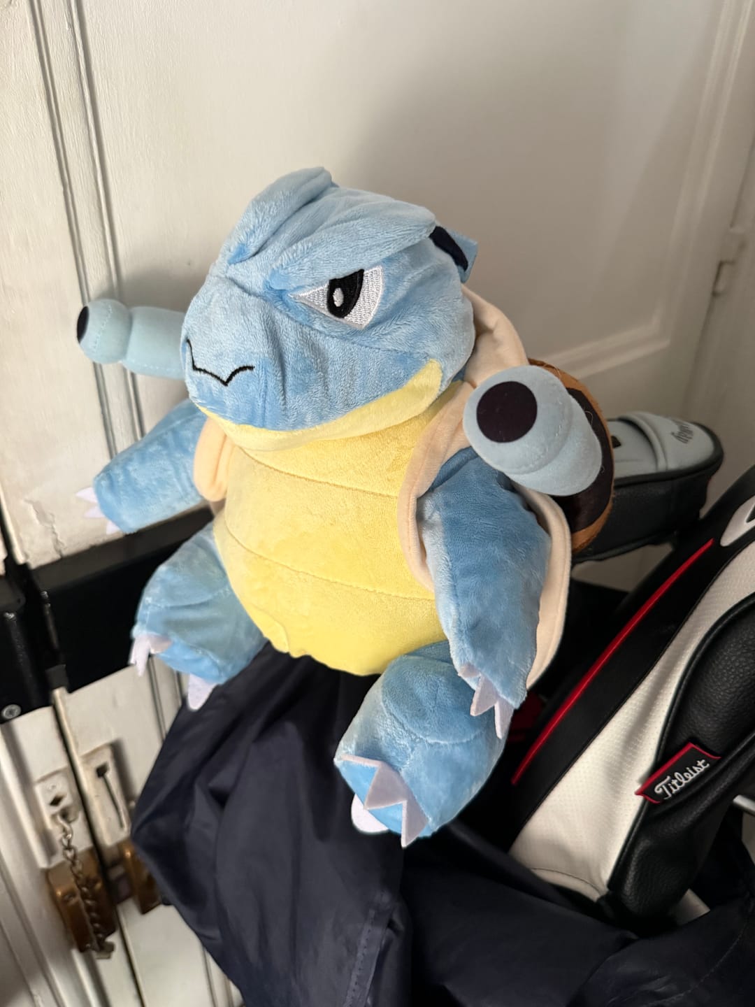 Customer photo review of Blastoise | Headcovers
