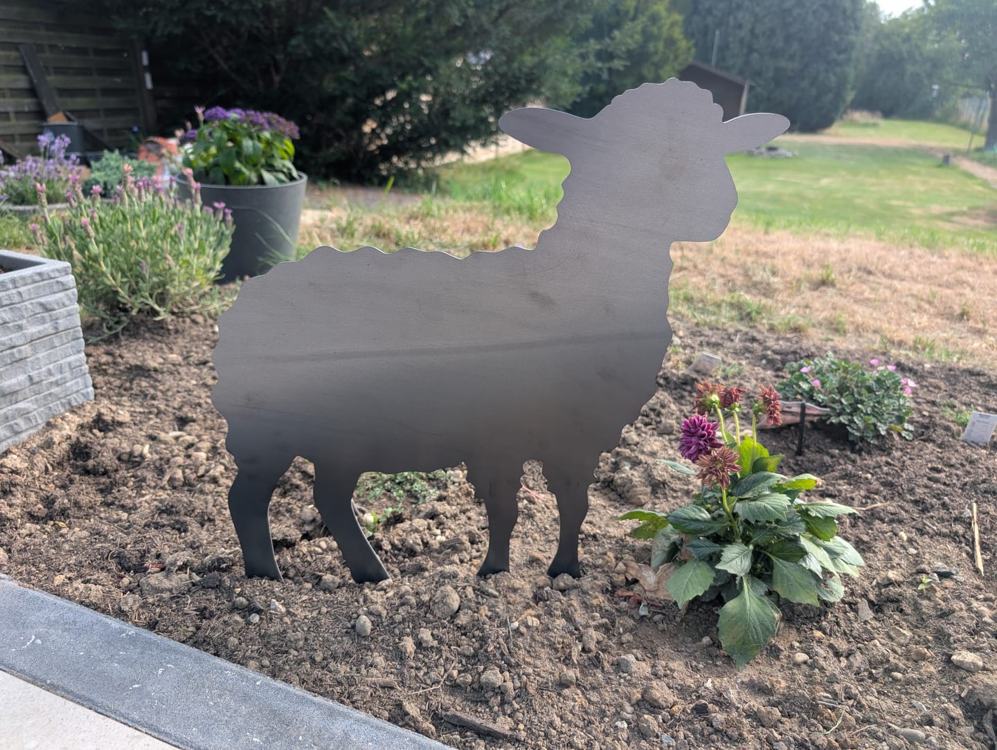 Customer photo review of Gartenstecker Schaf