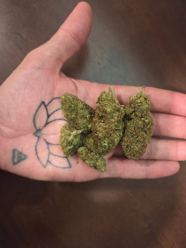 Blueberry Muffin - 28 Grams - Indica photo review