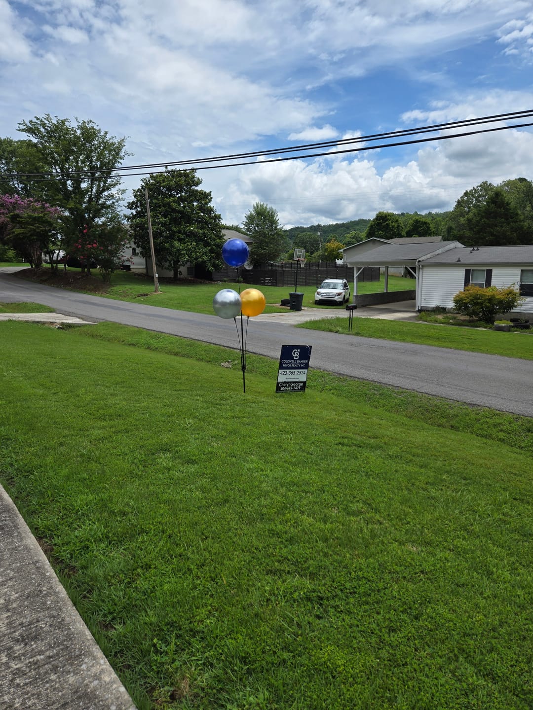 Customer photo review of DuraBalloon® 3-Balloon Cluster Pole Kit