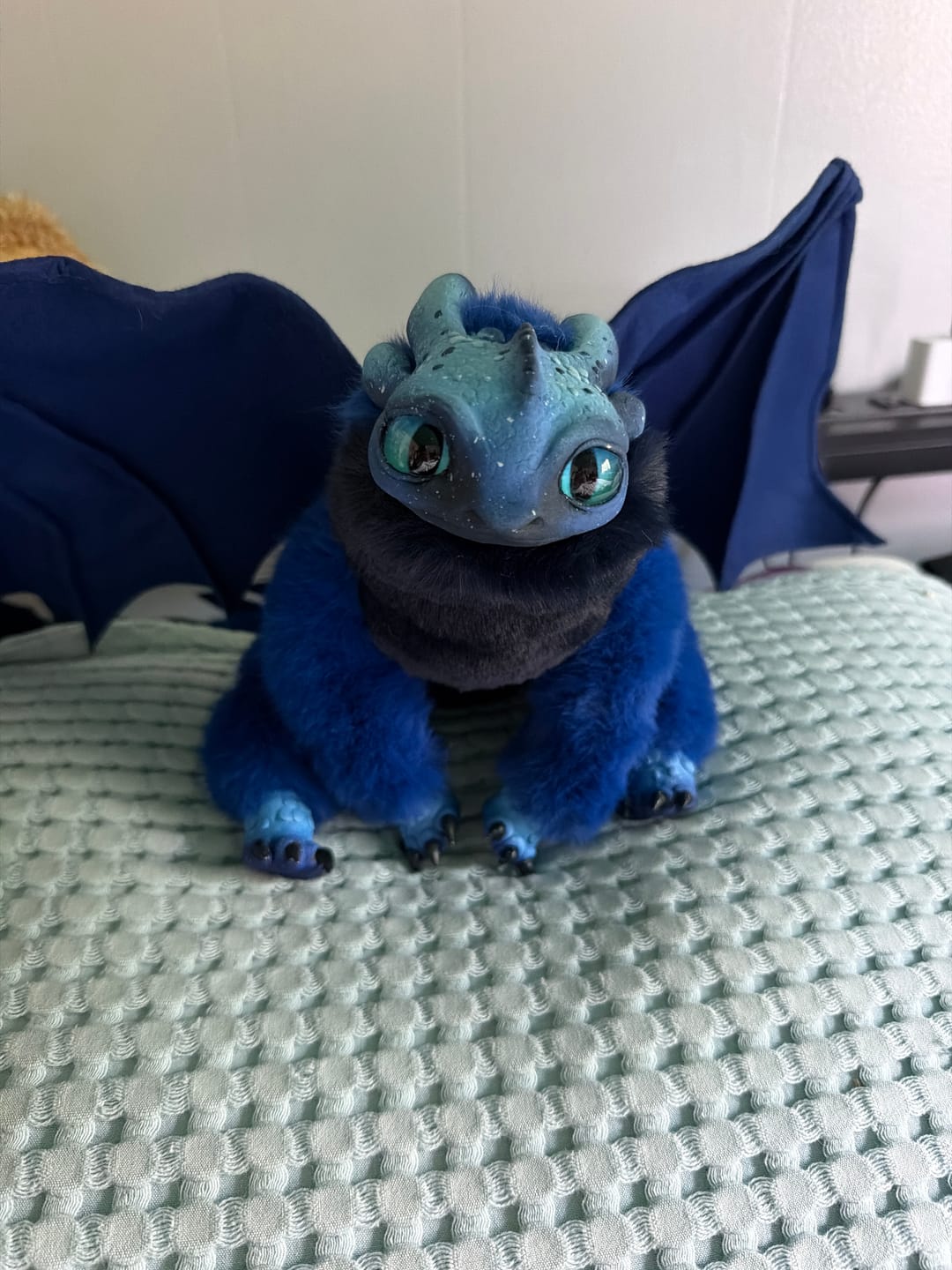 Customer photo review of Nocturne Fury