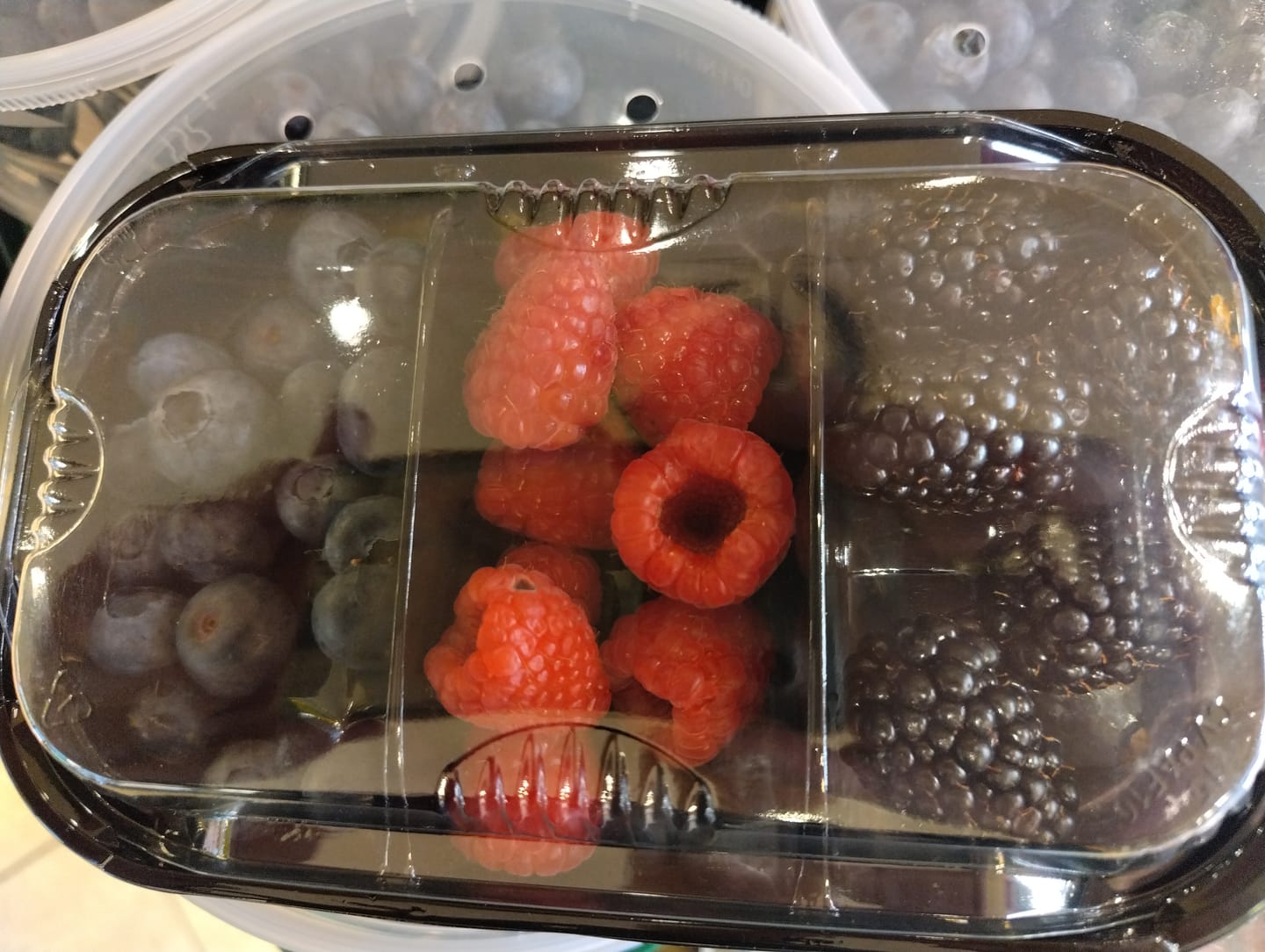 Customer photo review of Ratchet Raspberry Single Pack