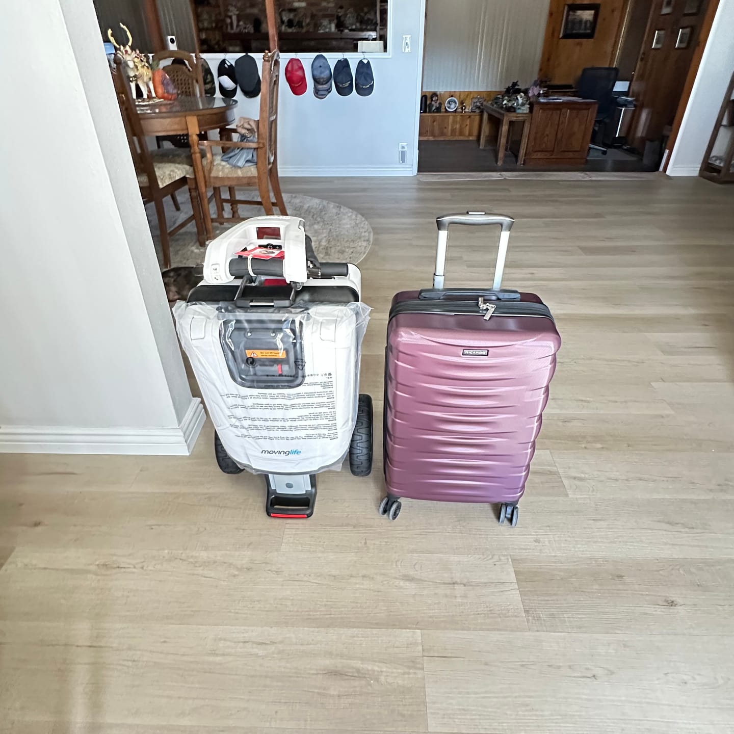 Customer photo review of Seat Cushion