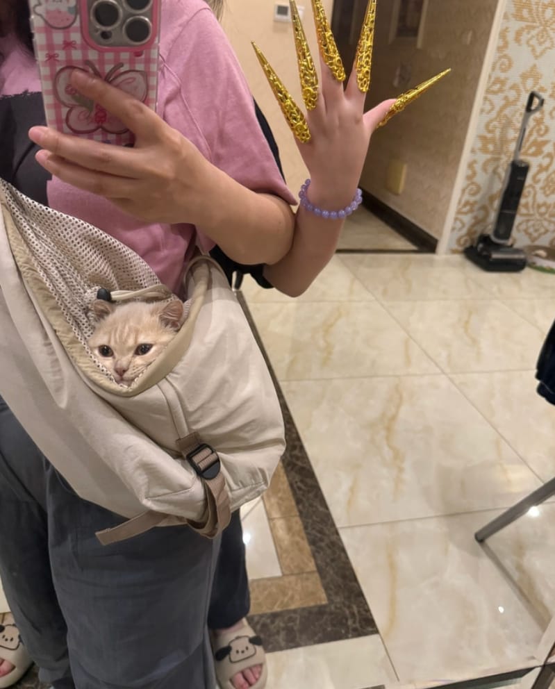 Customer photo review of Ergonomic Portable Hands-Free Pet Sling Carrier