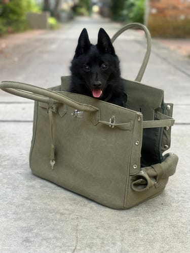 Customer photo review of The Barkin Pet Carrier
