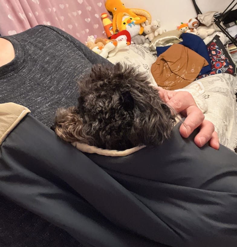 Customer photo review of Ergonomic Portable Hands-Free Pet Sling Carrier