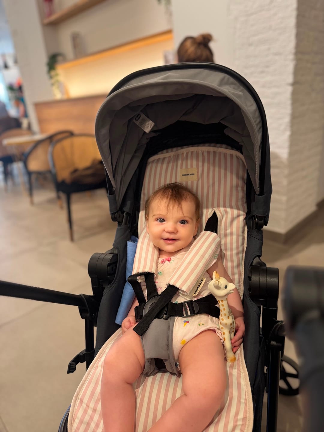 Customer photo review of Colchoneta Universal Silla Paseo Evolution Fine line Pink + 2 Protectores GRATIS
