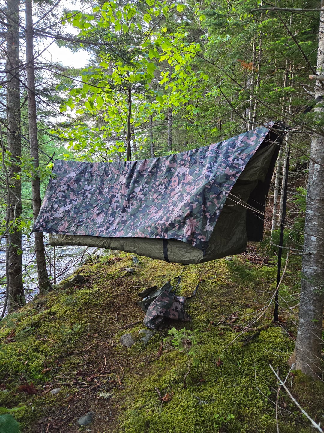 Customer photo review of Haven Safari Pad