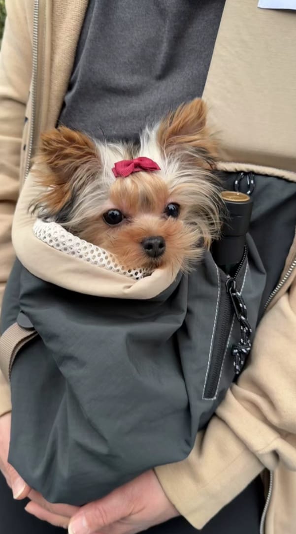 Customer photo review of Ergonomic Portable Hands-Free Pet Sling Carrier