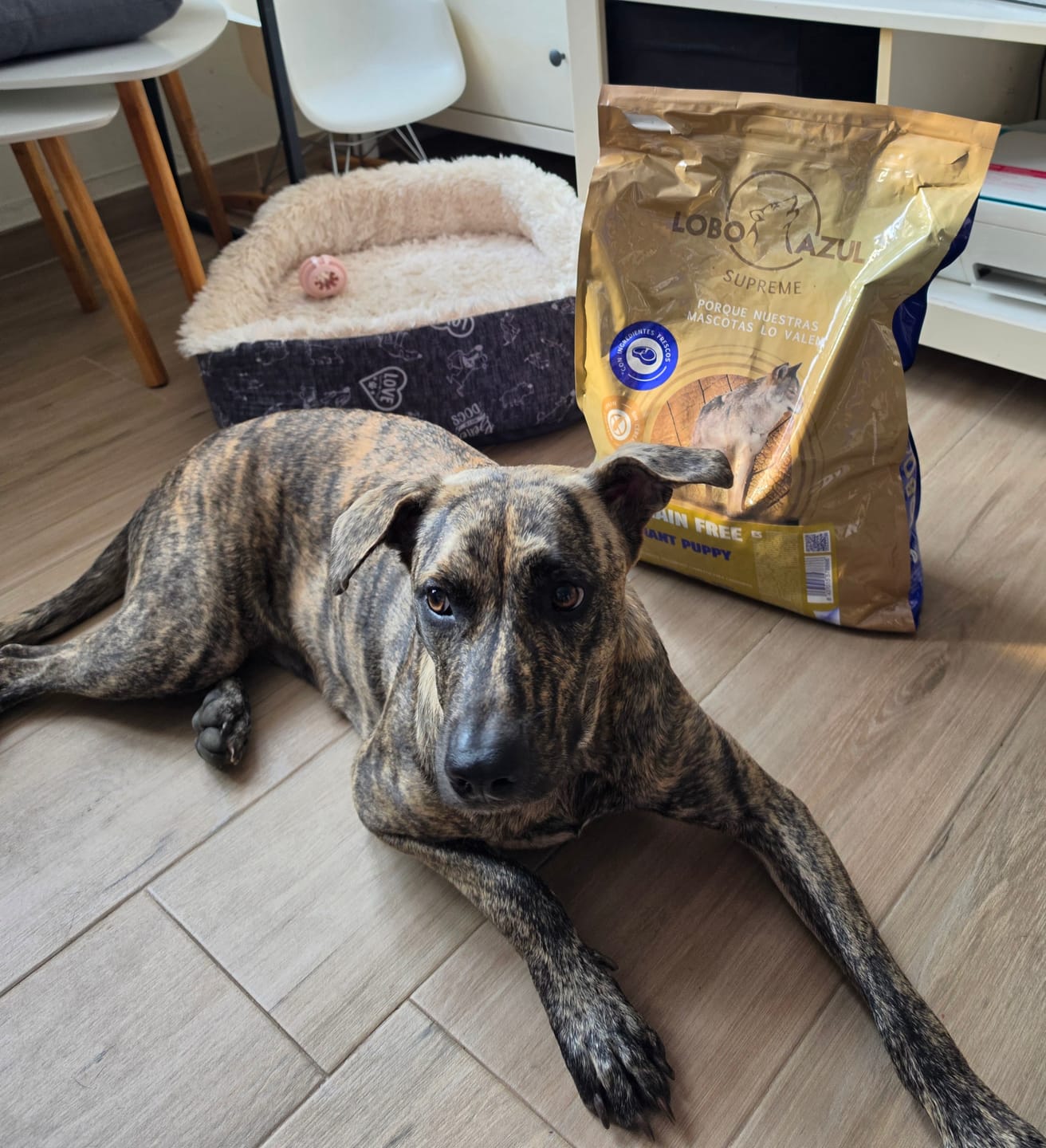 Customer photo review of Grain Free Giant Puppy
