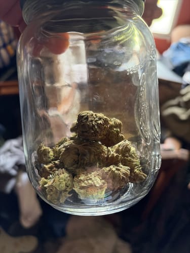 Good Day - 14 Grams - Gelato 33 - Hybrid photo review