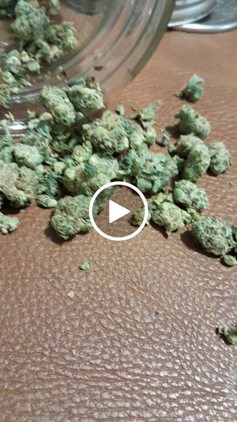 Customer video review of Cereal Milk THCA Flower (Budget)