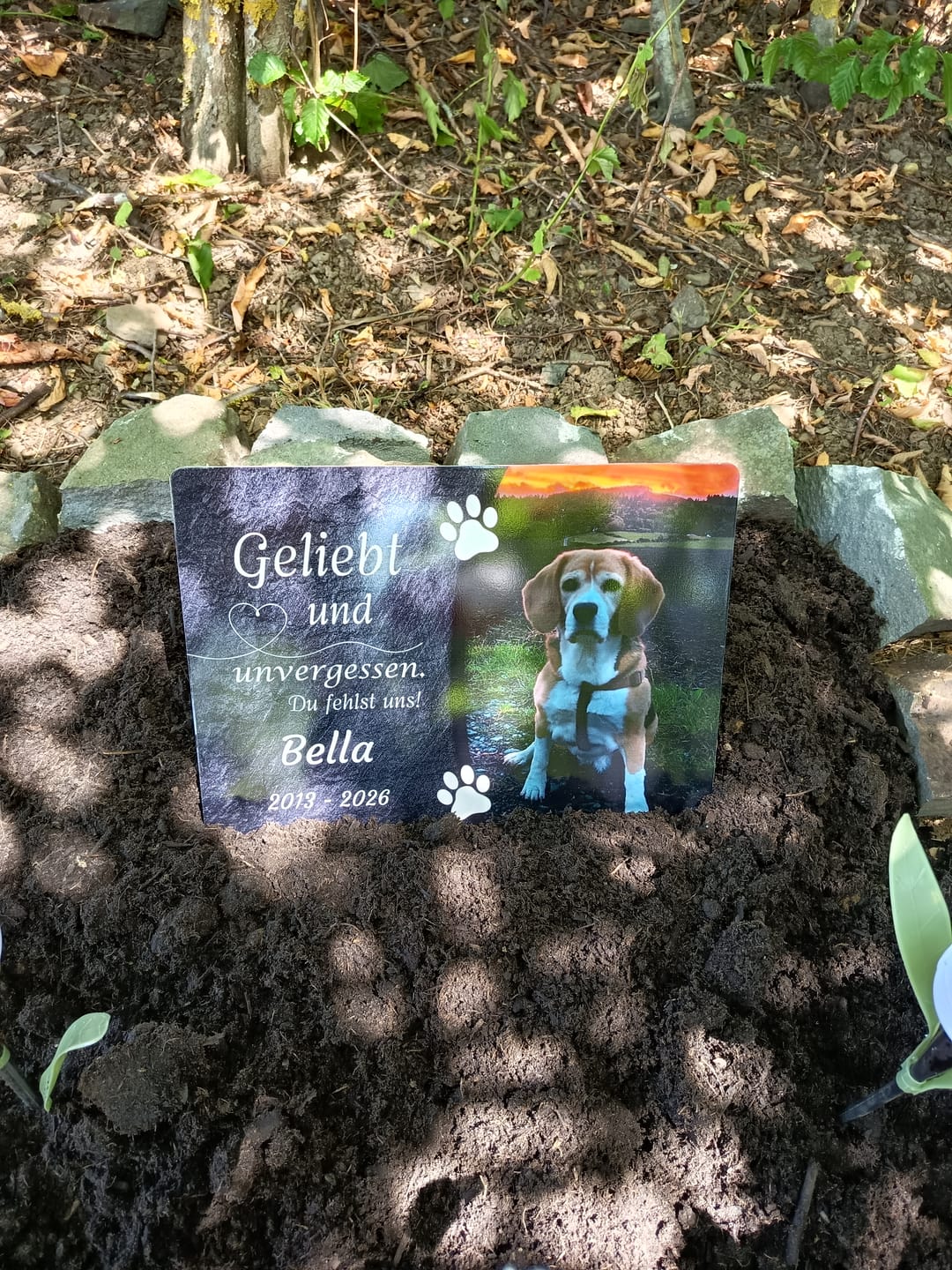 Customer photo review of Hunde Gedenktafel mit Foto & Spruch (UV- & Wetterfest)