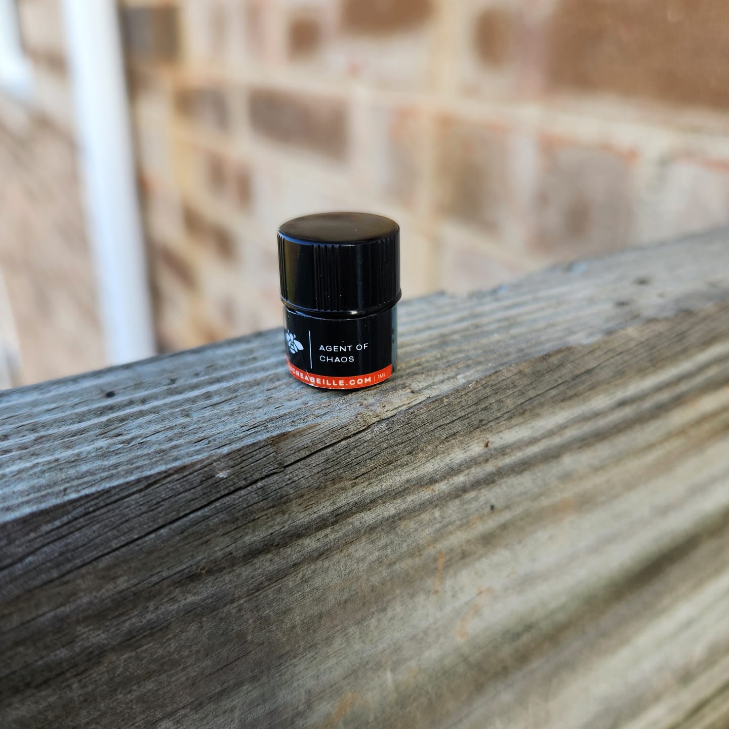 Customer photo review of Agent of Chaos