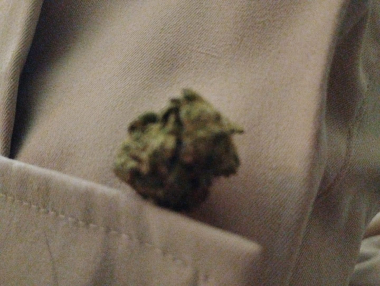 Customer photo review of White Widow MICROS - 28 Grams - Hybrid