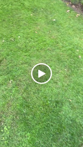 Kundenbewertung mit Video zu RASENBLITZ™ - SOMMERDÜNGER