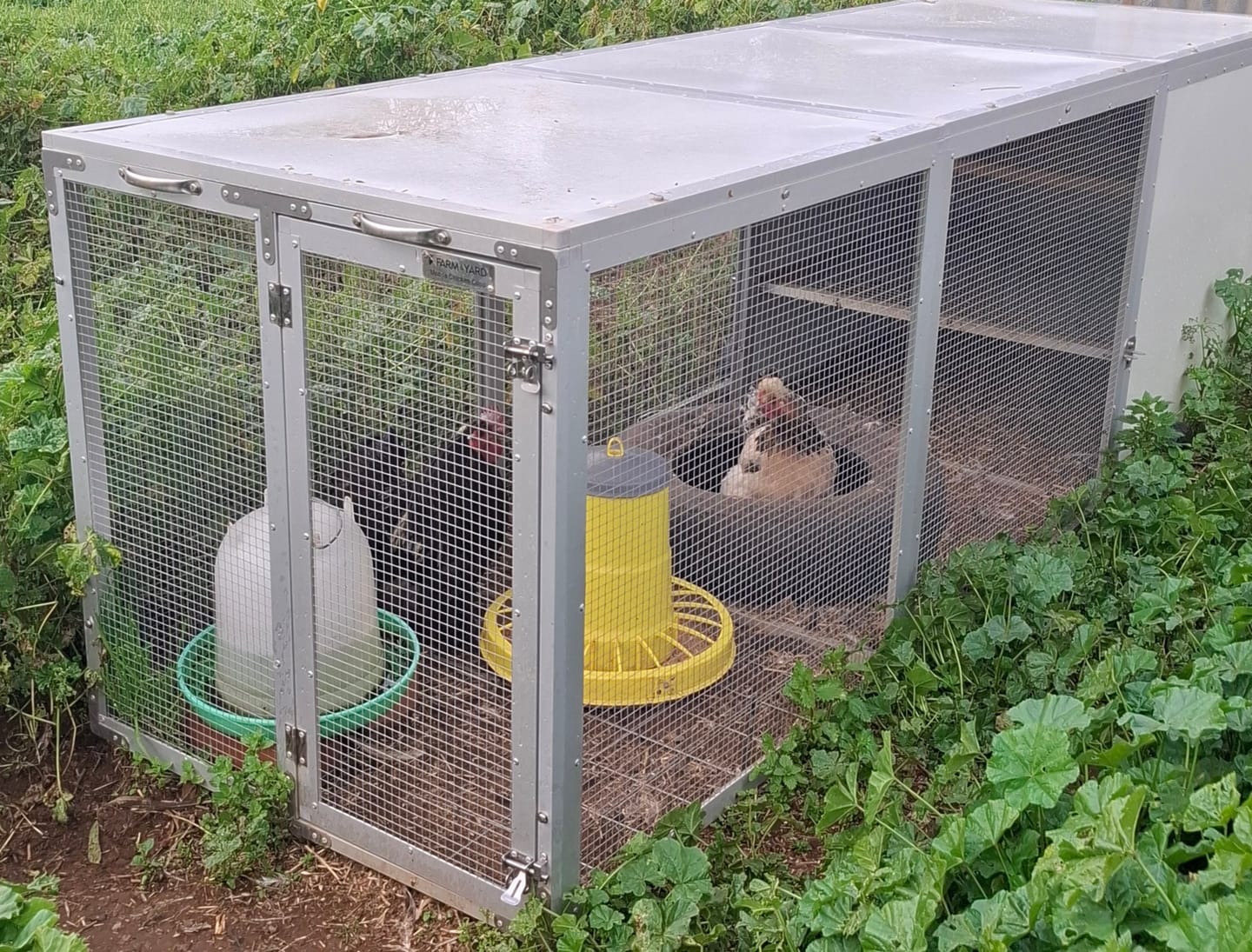 Customer photo review of Mobile Chicken Coop / Chicken Tractor