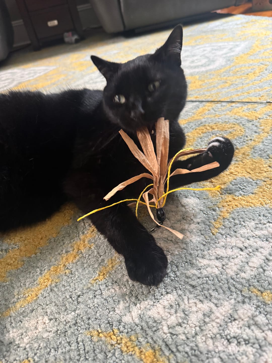 Customer photo review of Wiggly Wand Cat Toy - Choose Your Attachment
