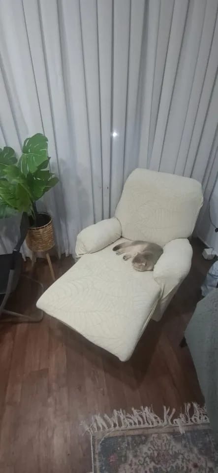 Customer photo review of Housses de Fauteuil Relax inclinable Waterproof
