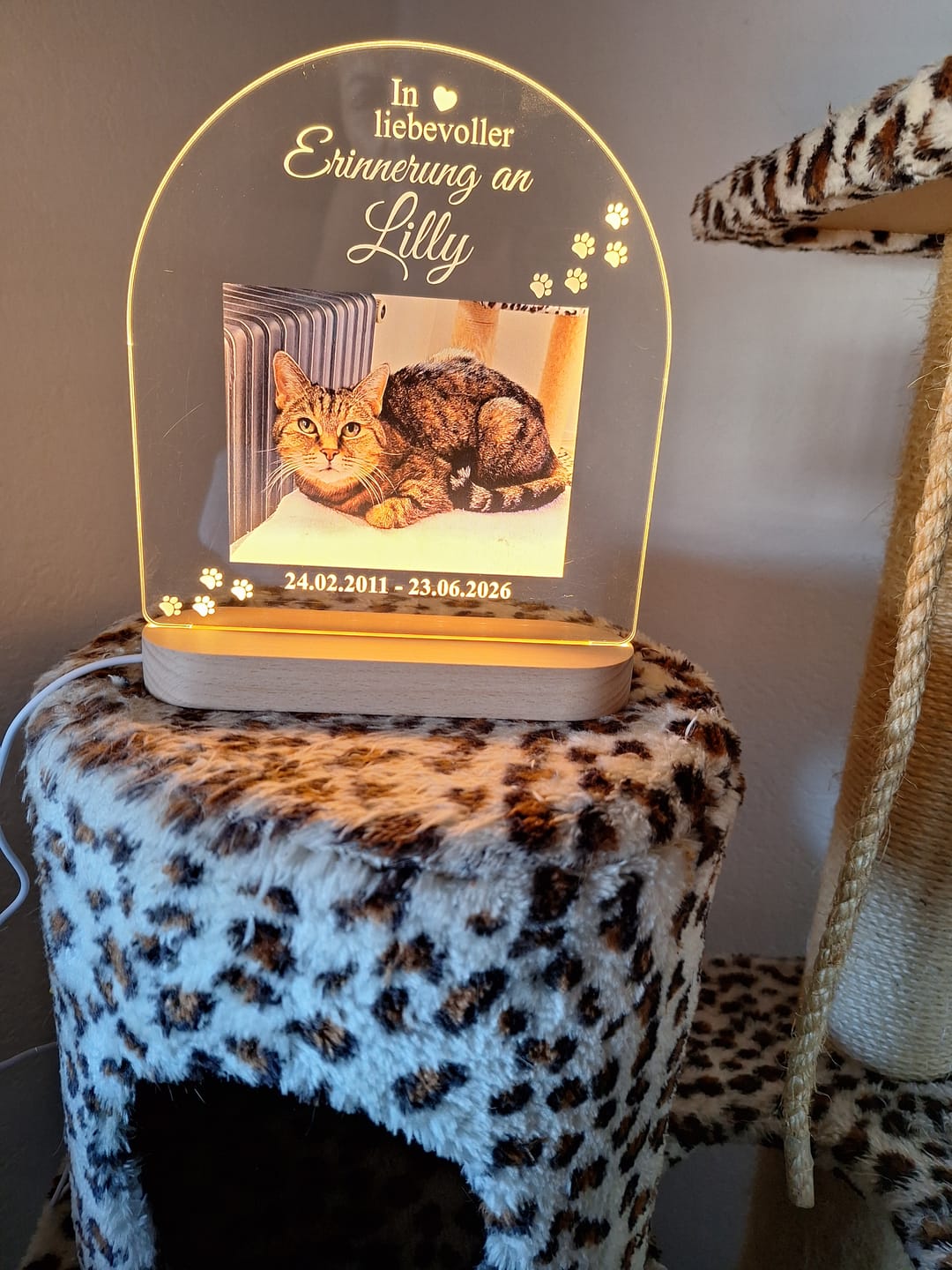 Customer photo review of Zur liebevollen Erinnerung – LED-Lampe für Hund/Katze