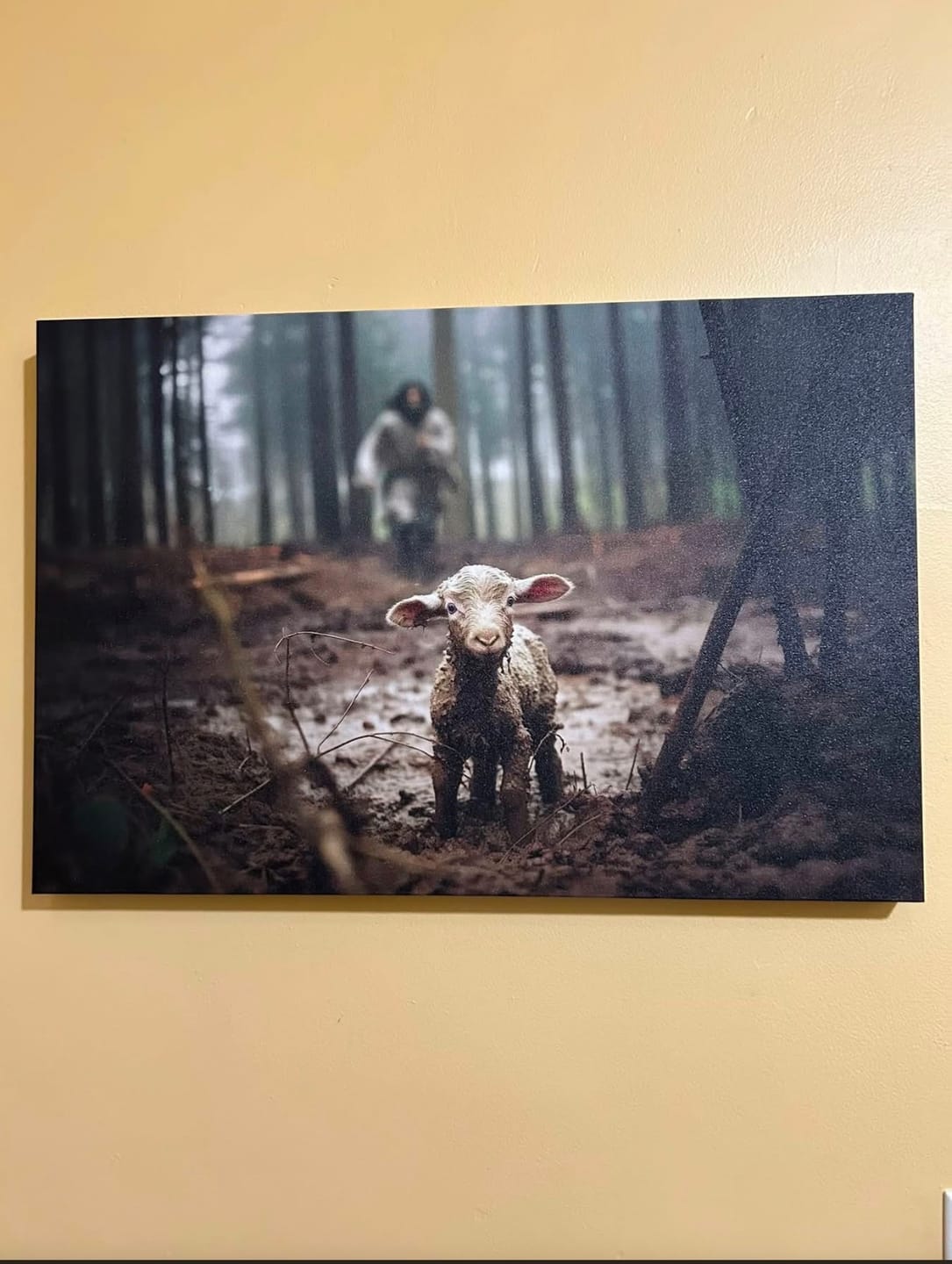 Customer photo review of Jesus Running After a Lost Lamb, Jesus and Lamb Picture, Wall Art Canvas