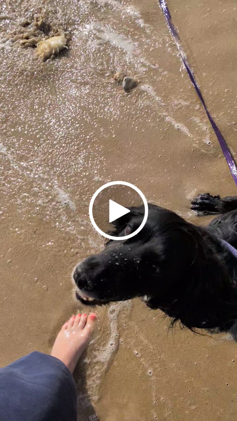 Customer video review of Tidal Waterproof Longline