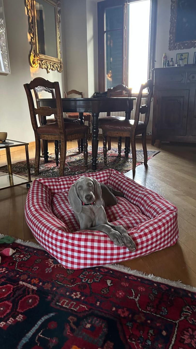 Customer photo review of Divanetto Cotone Quadretto Rosso